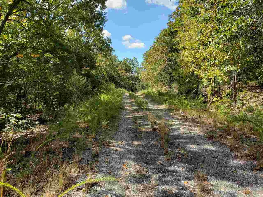 L-55 & 56 B-7 Lochloosa Drive, Cherokee Village, AR 72529 - Image #3