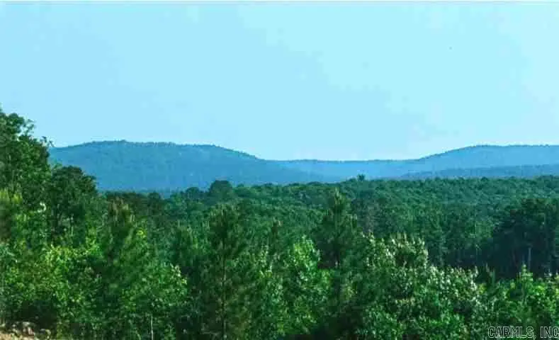 251 Polk Road 72, Mena, AR 71953 - Image #2