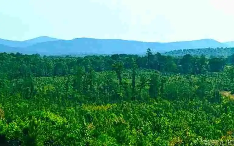 251 Polk Road 72, Mena, AR 71953 - Image #3