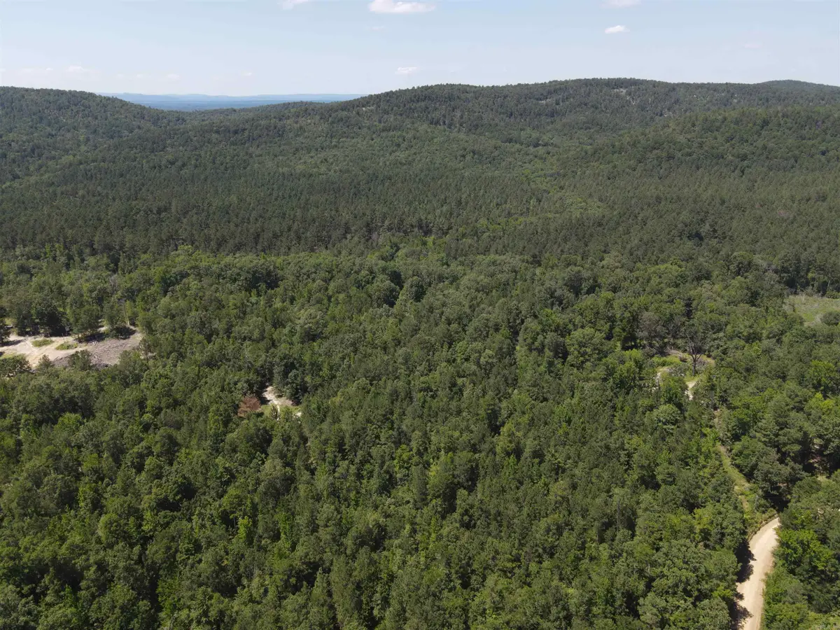 0000 Chicot Trail, Bismarck, AR 71929 - Image #1