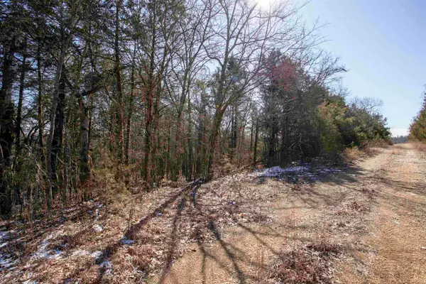 Lot 73 Big Buck Lane, Williford, AR 72482