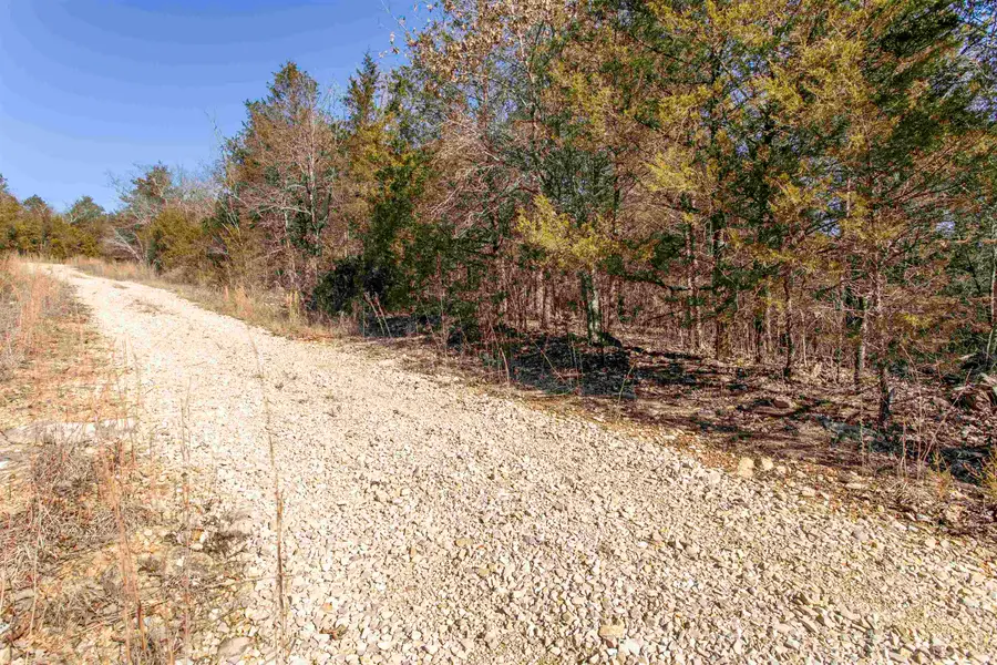 Lot 73 Big Buck Lane, Williford, AR 72482 - Image #3