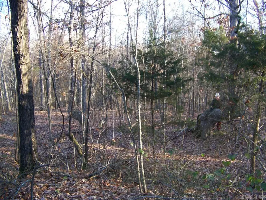 538 Fowler Road, Maynard, AR 72444 - Image #3