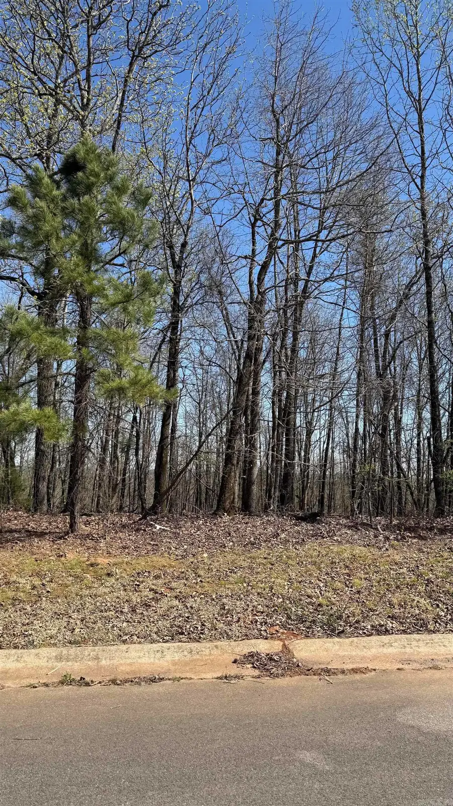 27 Mountain Vista Drive, Alexander, AR 72002 - Image #2