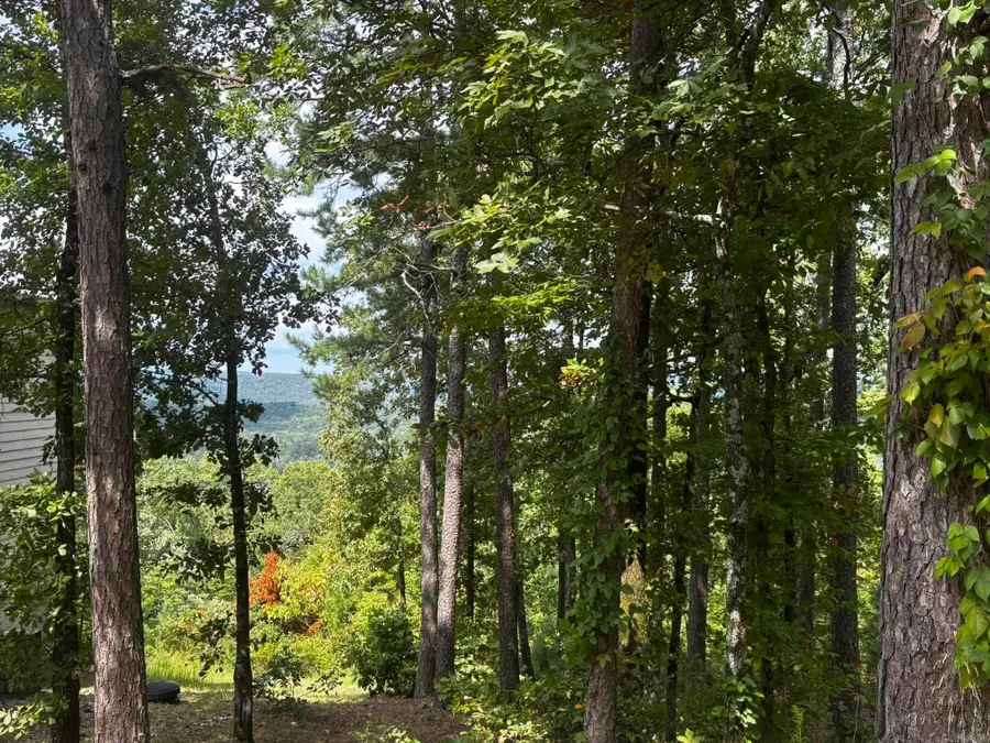 142 E Villena Drive, Hot Springs Village, AR 71909 - Image #2