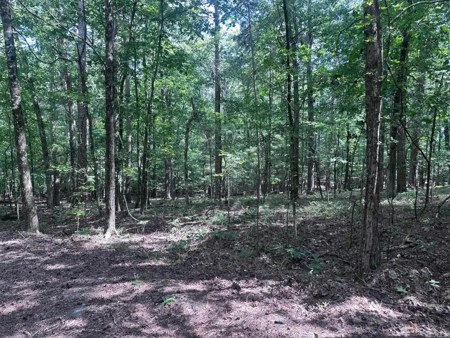 Address Withheld By Seller, Hot Springs Village, AR 71909 - Image #2