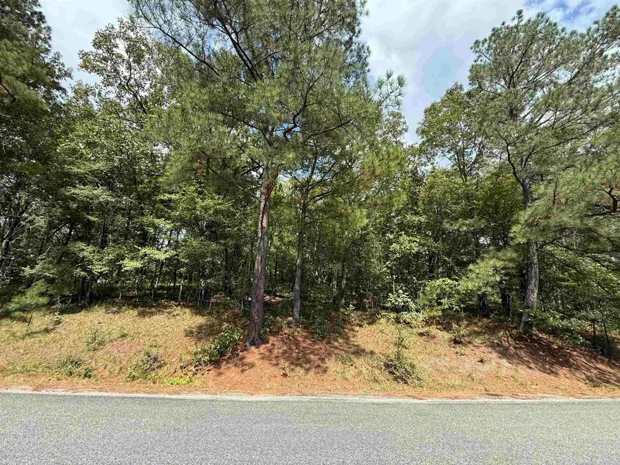 Lot 1312 Arlington Drive, Hot Springs, AR 71913 - Image #2
