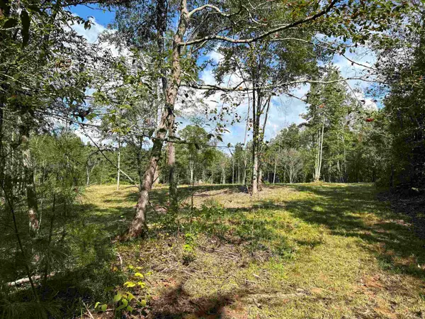 TBD Cedar Grove Road, Arkadelphia, AR 71923