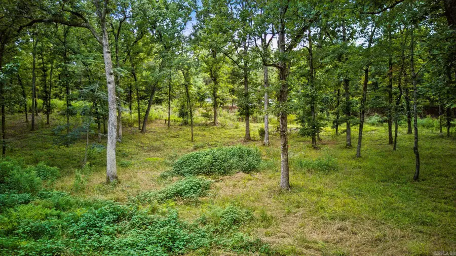 Lot H1 Charlie Stover, Royal, AR 71968 - Image #2