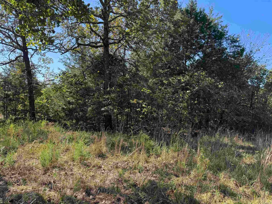 919 Country Spring Road, Salem, AR 72576 - Image #3