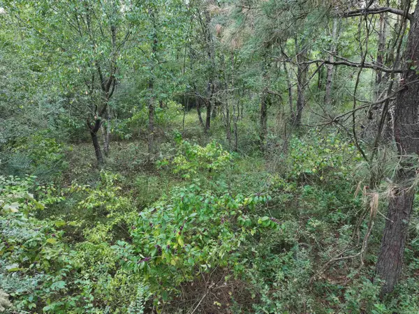 xxx Henshaw Road, Bismarck, AR 71929