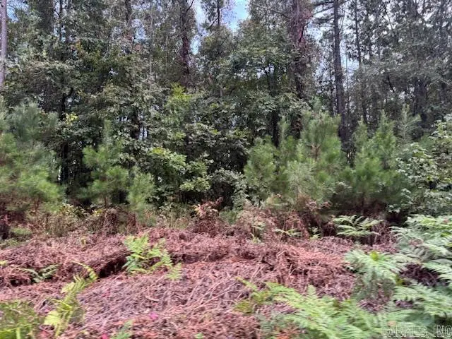 000 Perkins, Alamo, AR 71957 - Image #2