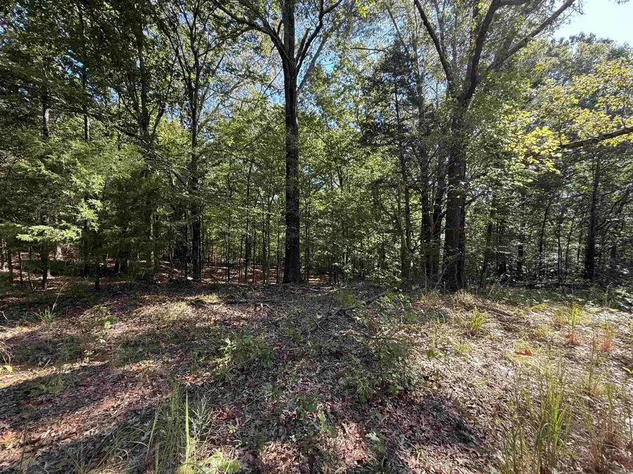 Sfc 342, Forrest City, AR 72335 - Image #2