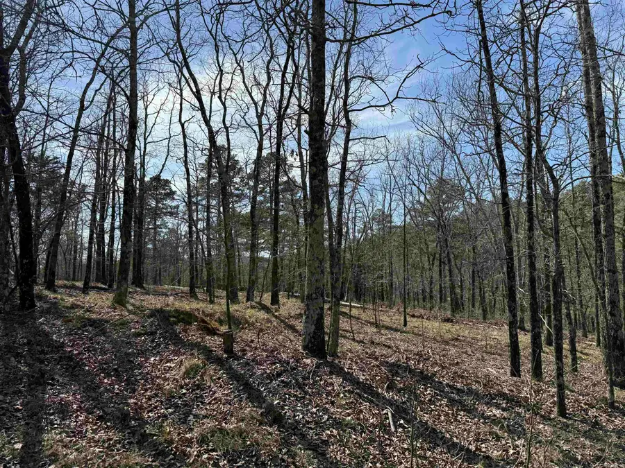 TBD Sangster Lane, Hot Springs, AR 71901 - Image #2