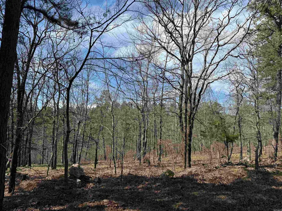 TBD Sangster Lane, Hot Springs, AR 71901 - Image #3