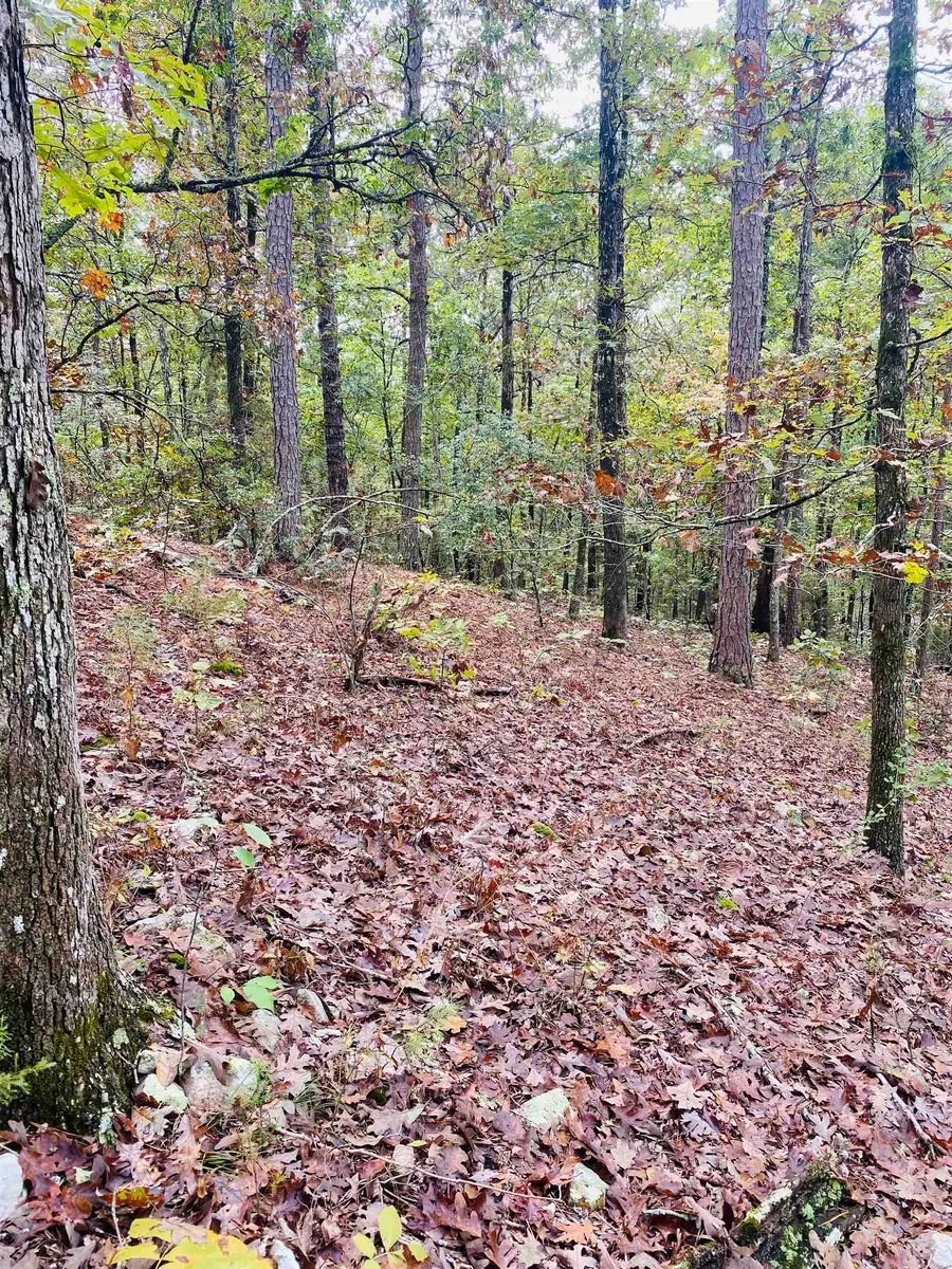 150 Lofton Road, Calico Rock, AR 72519 - Image #2