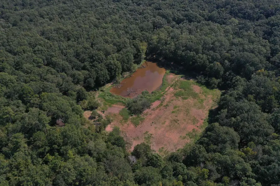 0000 Hwy 7, Ola, AR 72853 - Image #3