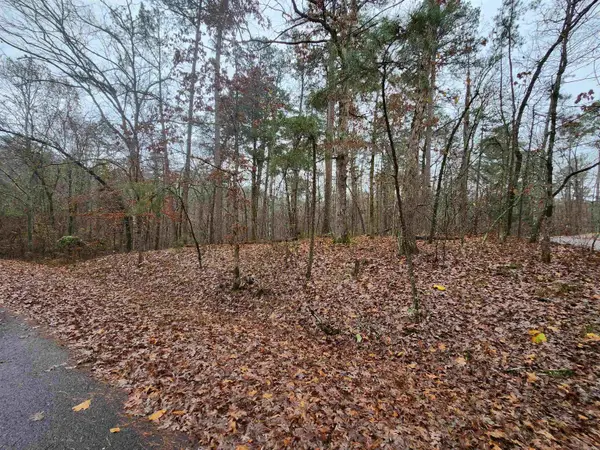 Quijote Circle, Hot Springs Village, AR 71909