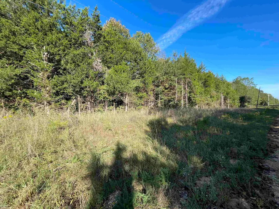 0 Quilt Palace Road, Glencoe, AR 72539 - Image #3