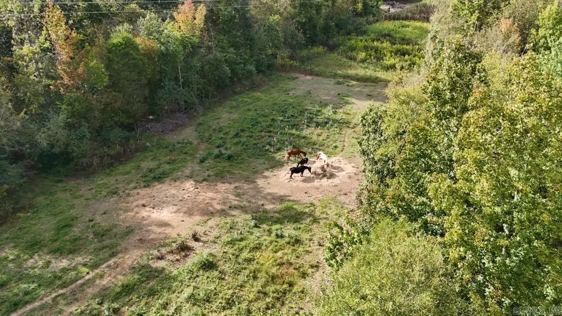 184 Peaceful Place Rd, Caddo Gap, AR 71935 - Image #1