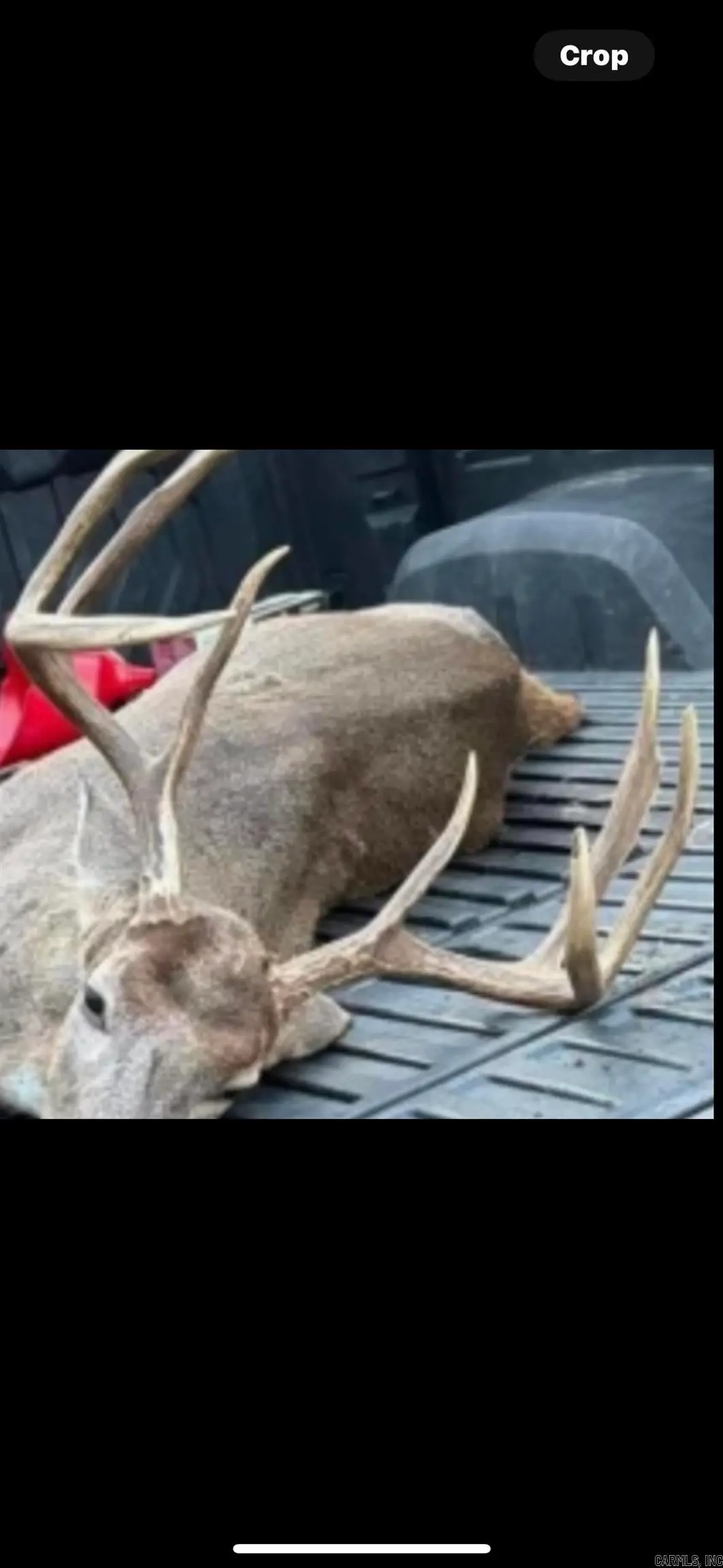 TBD Bradley 351, Hermitage, AR 71647 - Image #1