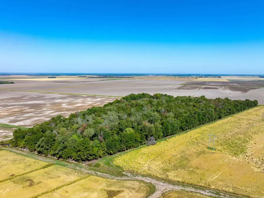 0 Highway 367, Swifton, AR 72471 - #3