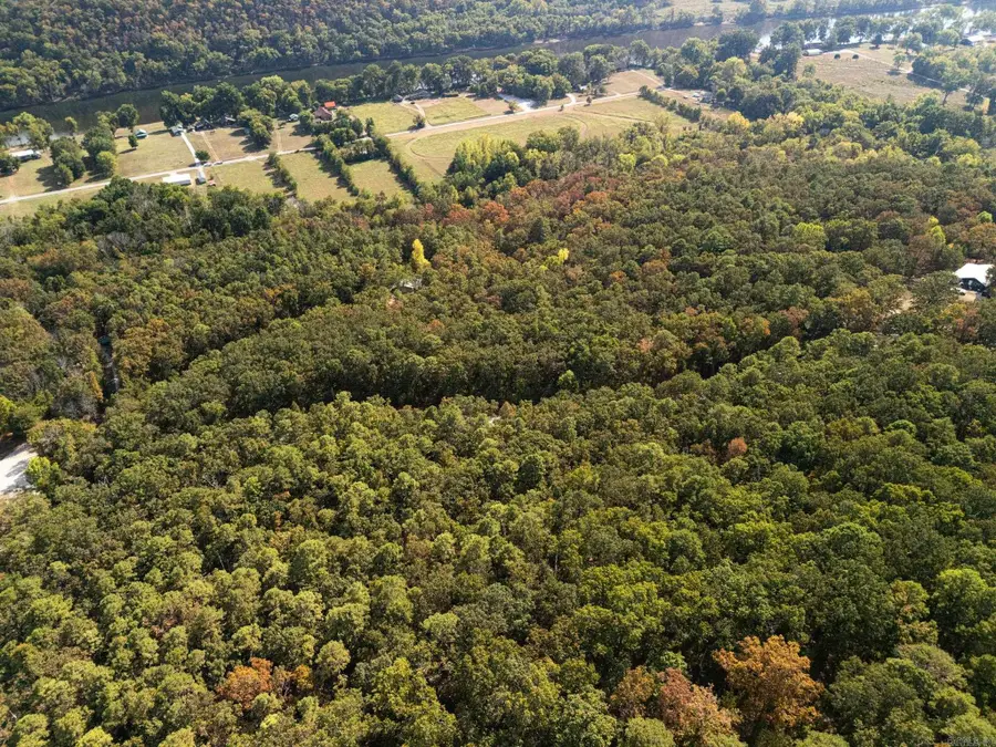 000 Dwelle Road Road, Norfork, AR 72658 - Image #2