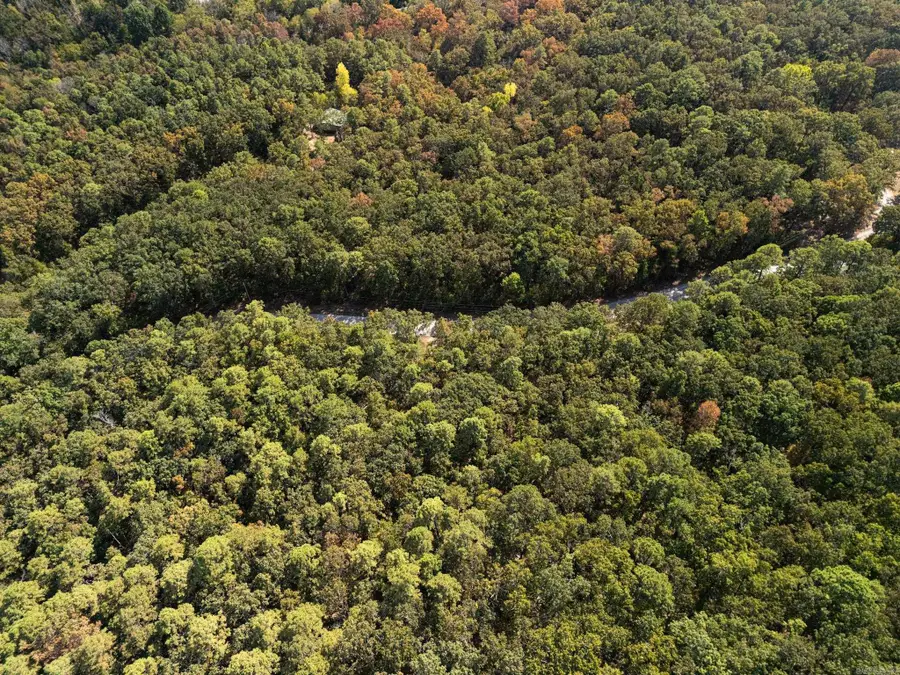 000 Dwelle Road Road, Norfork, AR 72658 - Image #3