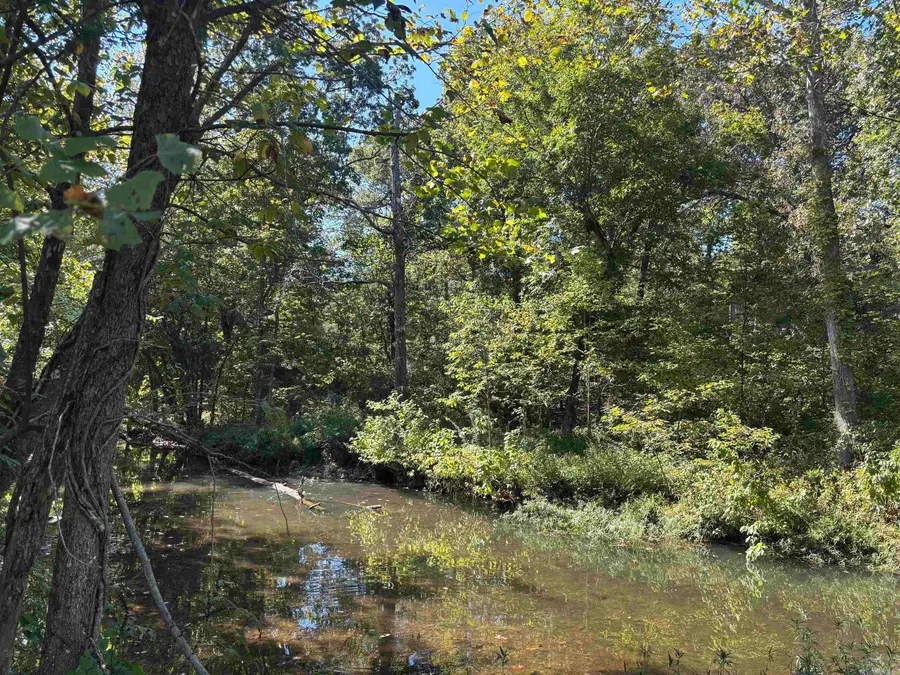 TBD W Lakeshore Drive, Cherokee Village, AR 72529 - Image #3