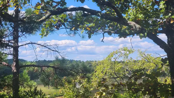 224 (Lot#15N) Reva's Way, Story, AR 71970