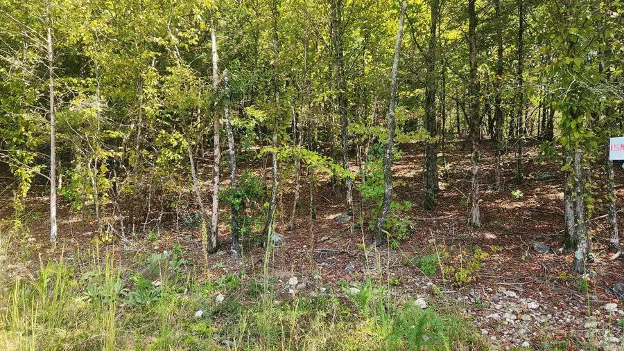 224 (Lot#15N) Reva's Way, Story, AR 71970 - Image #2