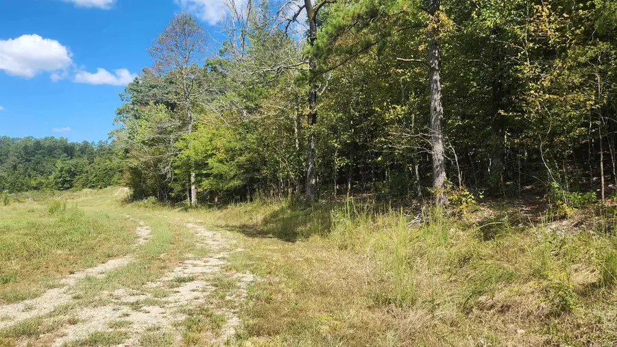 224 (Lot#15N) Reva's Way, Story, AR 71970 - Image #3