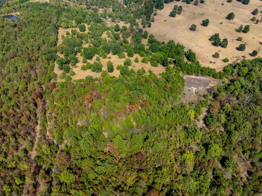 0 Young Rd, Salem, AR 72576 - Image #2