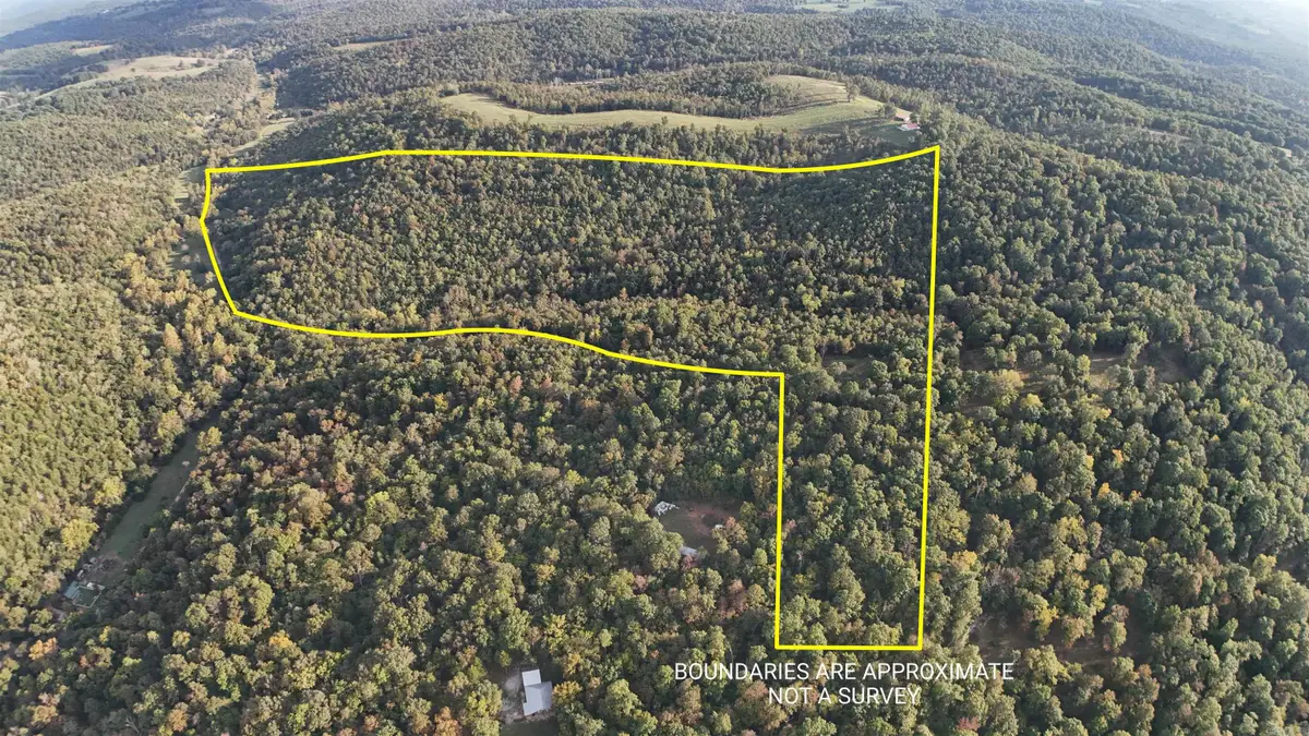 216 Renegade Lane, Yellville, AR 72687 - Image #1