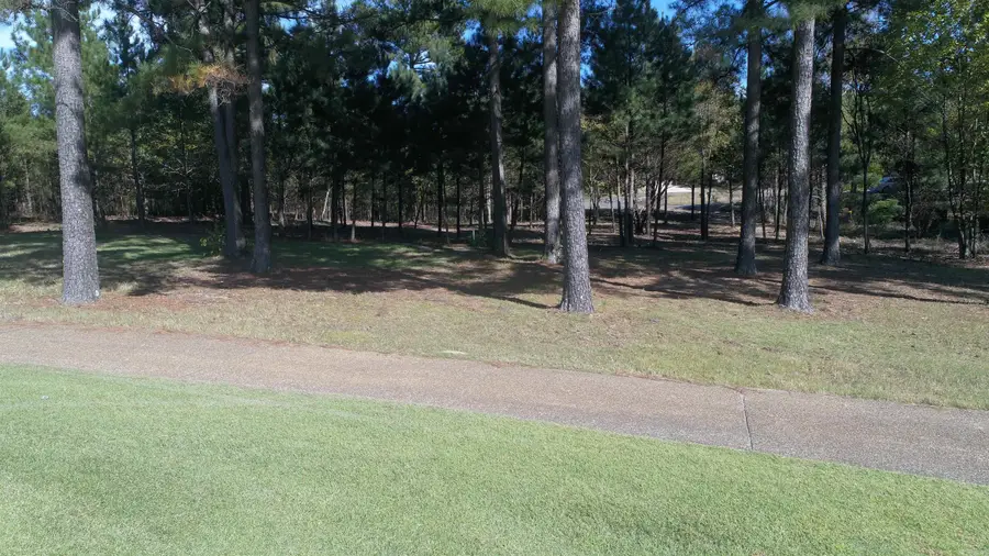 25 Alhaja Way, Hot Springs Village, AR 71909 - Image #2