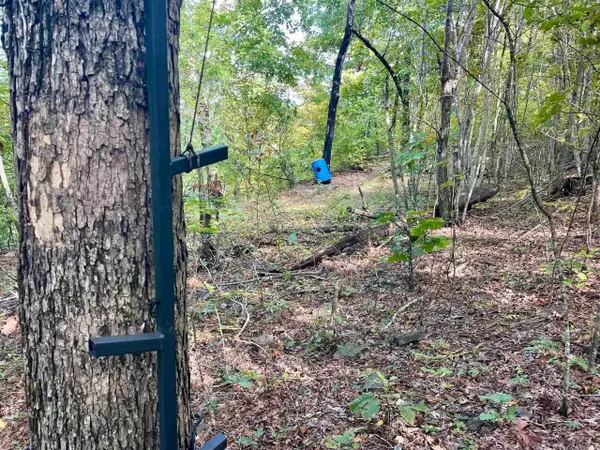 Address Withheld By Seller, Clinton, AR 72031