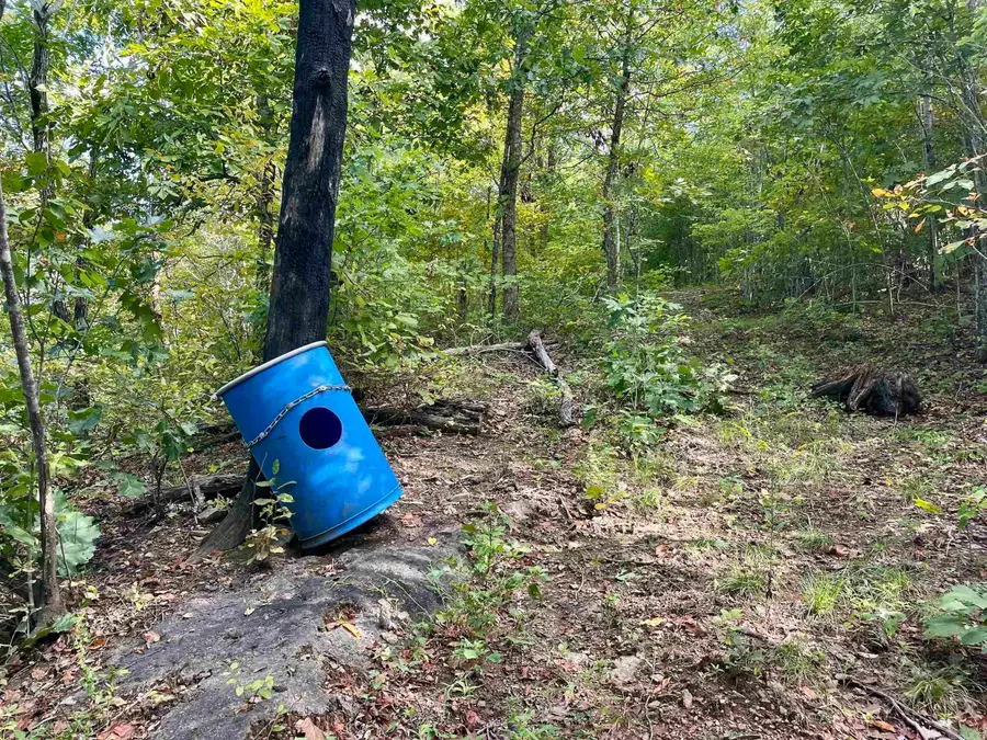 Address Withheld By Seller, Clinton, AR 72031 - Image #3