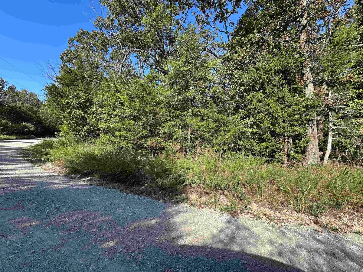 Lots 1 & 2 Round Mountain Drive, Flippin, AR 72634 - Image #1