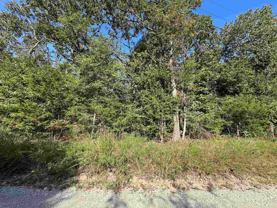 Lots 1 & 2 Round Mountain Drive, Flippin, AR 72634 - Image #3