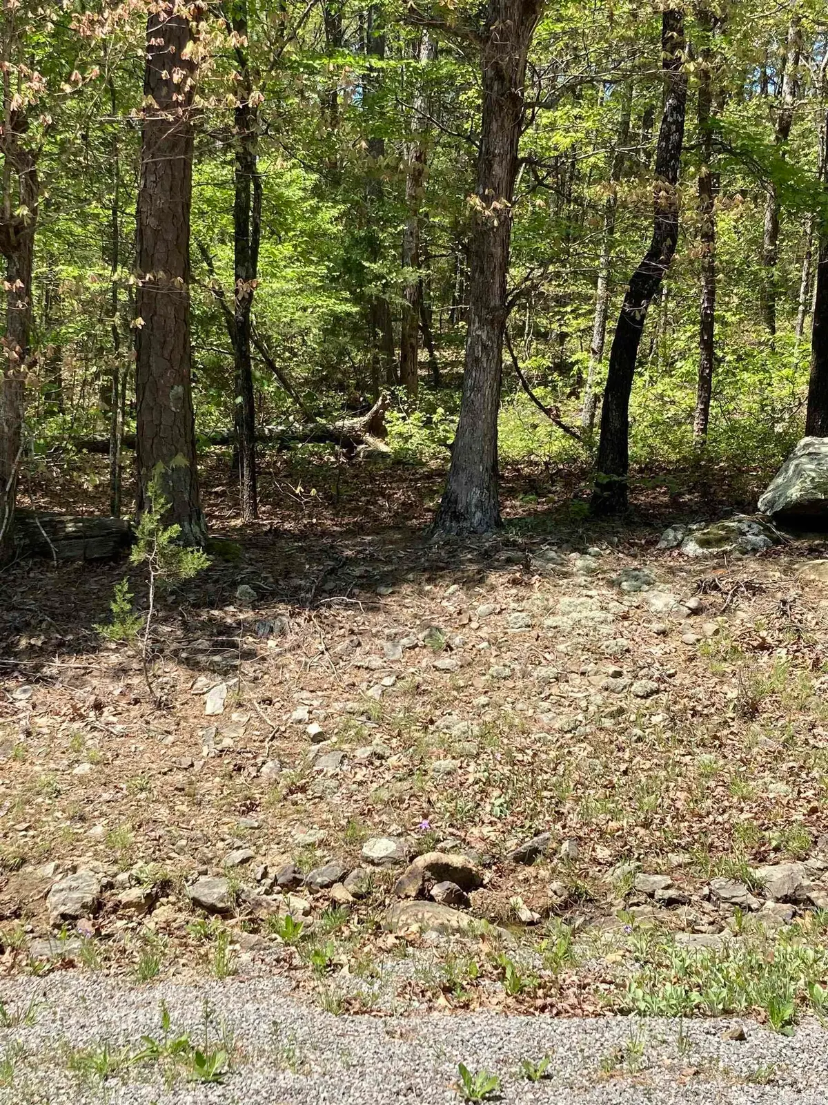 Lot 46 Block 15 Cambrige Court, Fairfield Bay, AR 72088 - Image #1