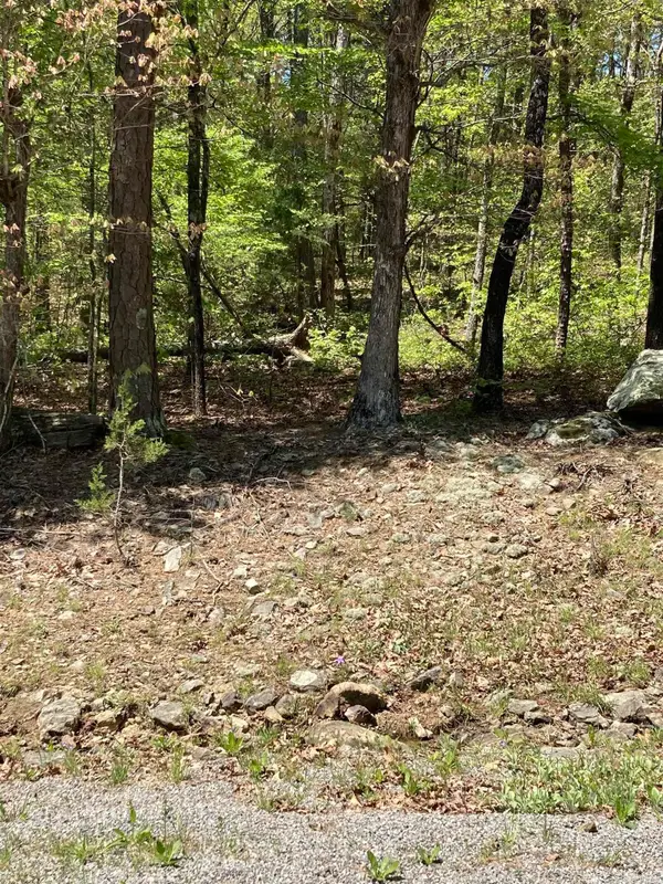 Lot 46 Block 15 Cambrige Court, Fairfield Bay, AR 72088