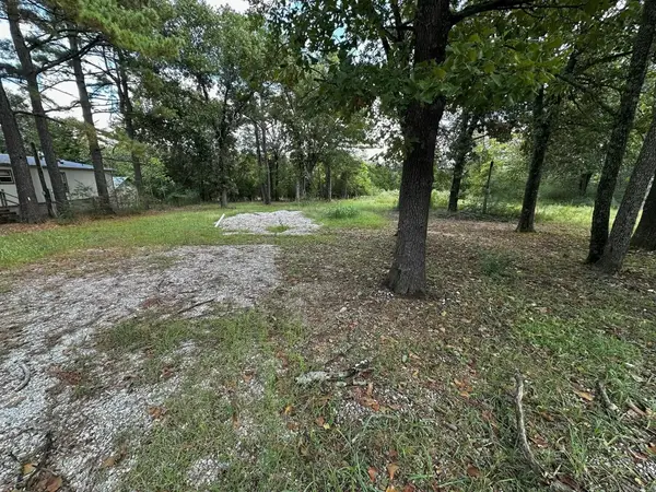 809 Alamo Drive, Mountain View, AR 72560