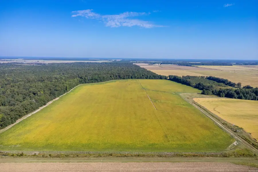 00 Gray Road, Des Arc, AR 72040 - Image #3