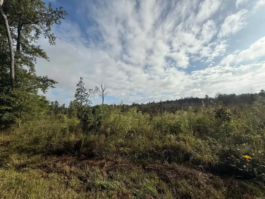 0 E 190 Highway, White Hall, AR 71602 - Image #3