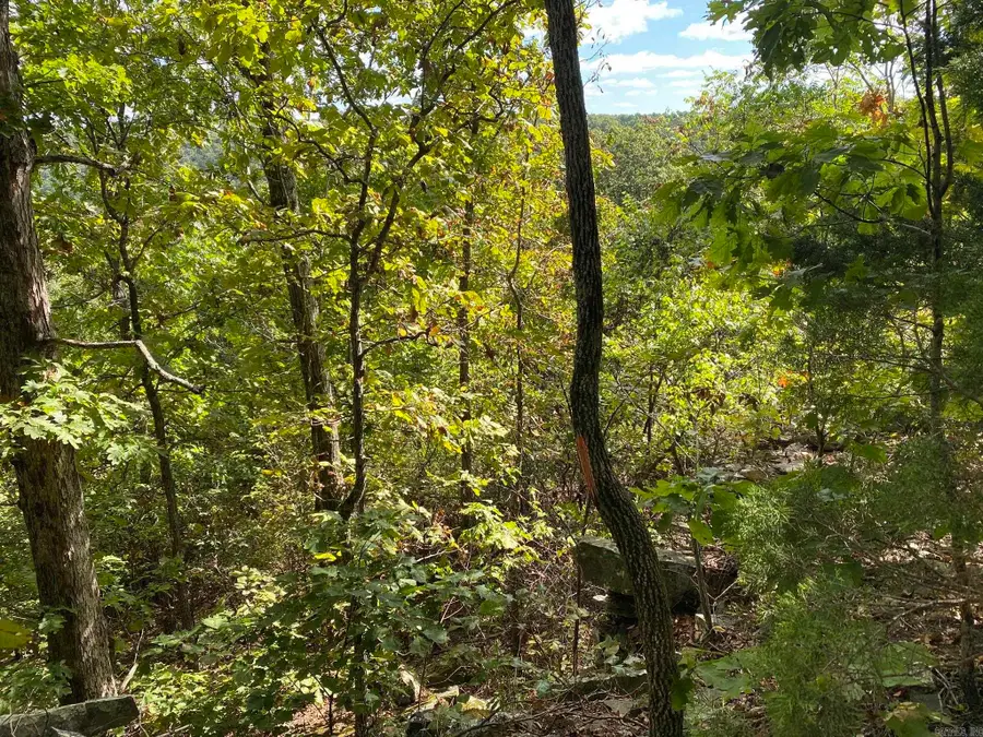 Lot 11 Cooper Point, Mountain View, AR 72560 - Image #2