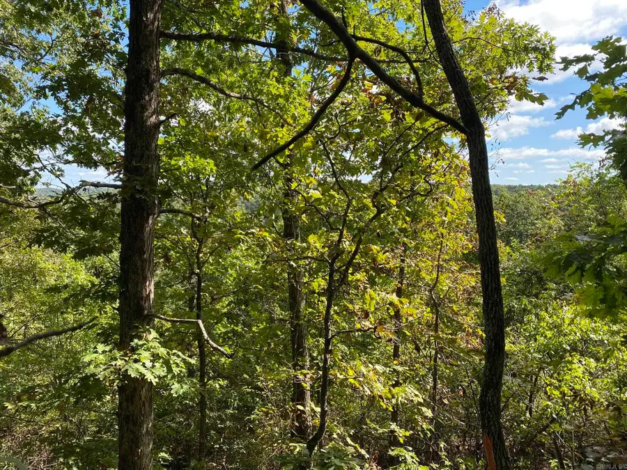 Lot 11 Cooper Point, Mountain View, AR 72560 - Image #3