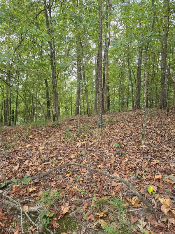 Address Withheld By Seller, Hot Springs, AR 71913