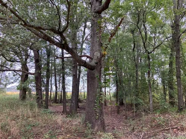 Cox Rd., Biggers, AR 72413 - Image #3