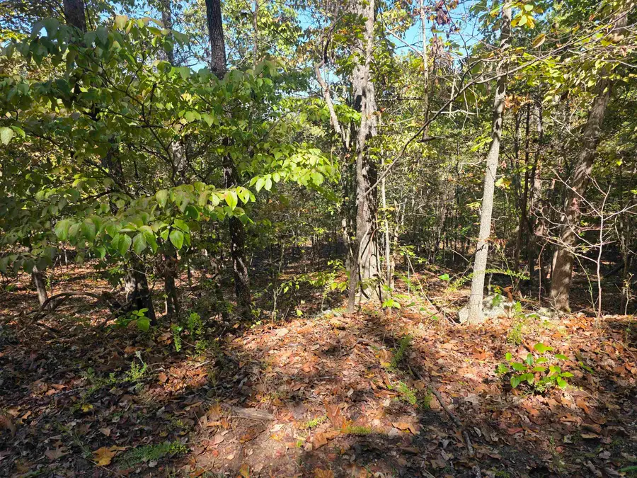 L10B4 Clatsop Circle, Cherokee Village, AR 72529 - Image #3