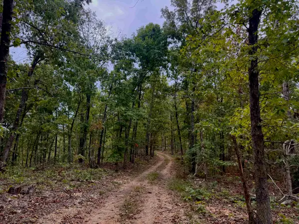 XX Firetower Road, Hardy, AR 72542